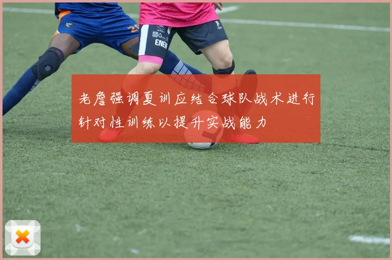 老詹强调夏训应结合球队战术进行针对性训练以提升实战能力